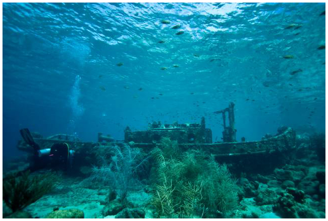 Curacao diving